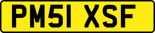 PM51XSF