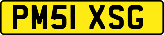 PM51XSG