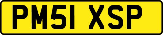 PM51XSP