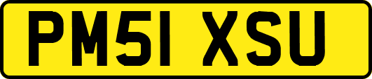 PM51XSU