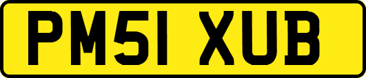 PM51XUB