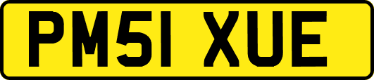 PM51XUE