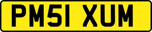 PM51XUM