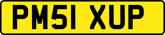 PM51XUP