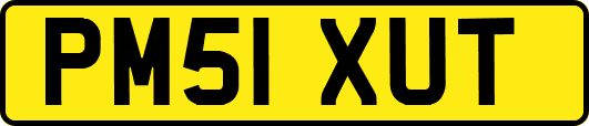 PM51XUT
