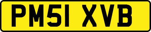 PM51XVB