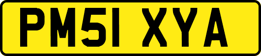PM51XYA