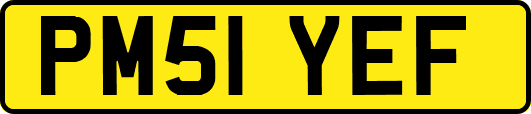 PM51YEF