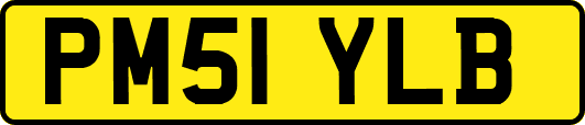 PM51YLB
