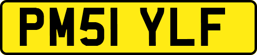 PM51YLF