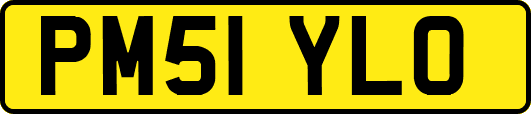 PM51YLO