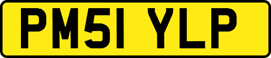 PM51YLP