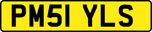 PM51YLS