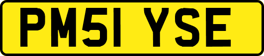 PM51YSE
