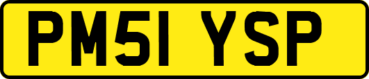 PM51YSP