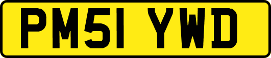 PM51YWD