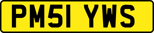 PM51YWS
