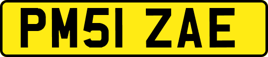 PM51ZAE