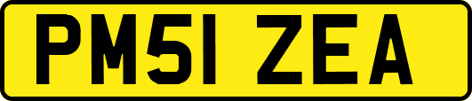 PM51ZEA