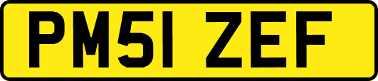 PM51ZEF