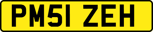 PM51ZEH