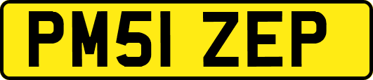 PM51ZEP