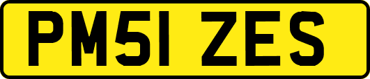 PM51ZES