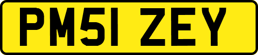 PM51ZEY