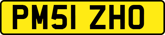 PM51ZHO