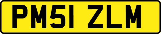 PM51ZLM