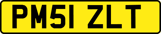 PM51ZLT