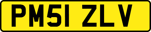 PM51ZLV