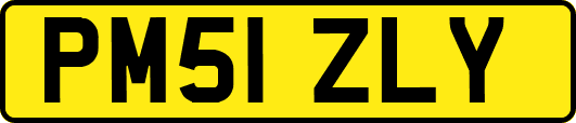 PM51ZLY