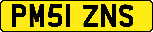 PM51ZNS