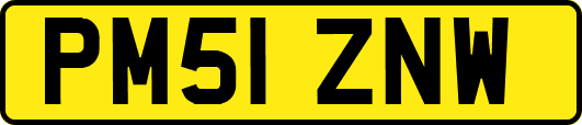 PM51ZNW