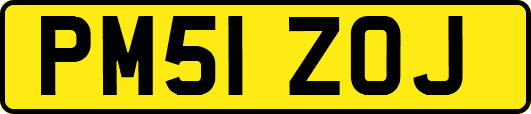 PM51ZOJ