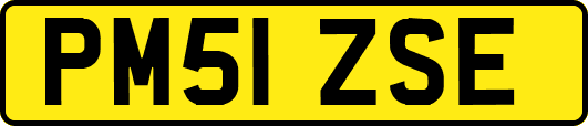 PM51ZSE