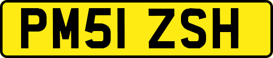 PM51ZSH