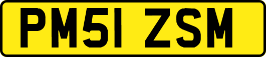 PM51ZSM