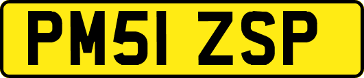 PM51ZSP