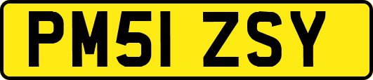 PM51ZSY