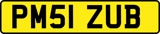 PM51ZUB