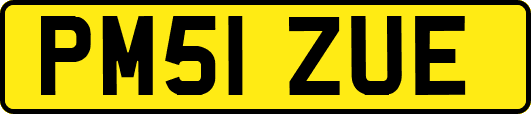 PM51ZUE