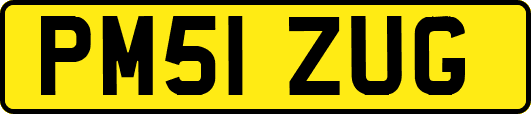 PM51ZUG