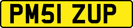 PM51ZUP