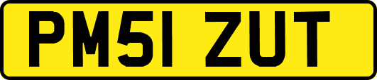 PM51ZUT