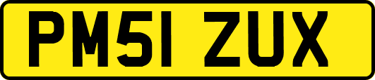 PM51ZUX