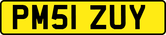 PM51ZUY