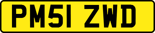 PM51ZWD