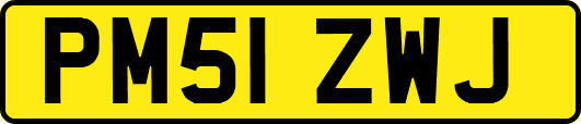 PM51ZWJ